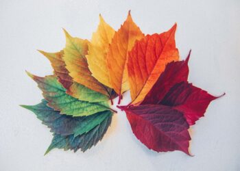 Aktywizowanie osób starszych jesienią